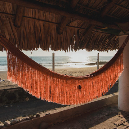 Hammock Arbol de Fuego