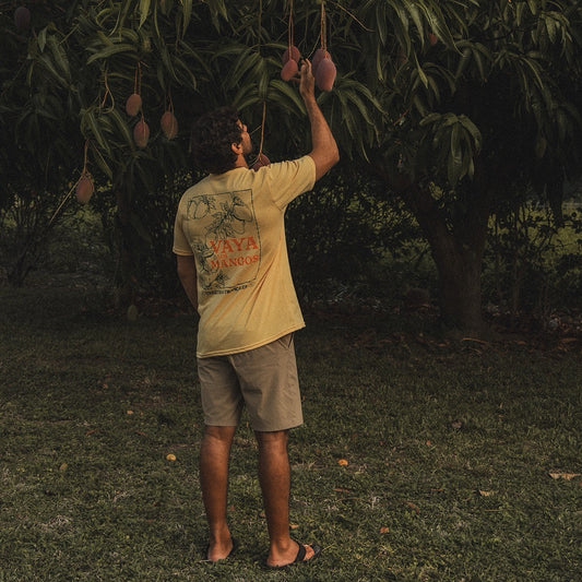 Mangoes T-shirt