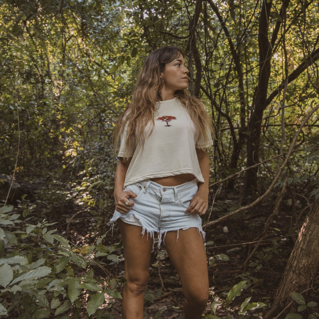 Arbol de Fuego Crop