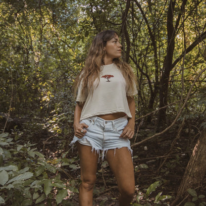 Arbol de Fuego Crop