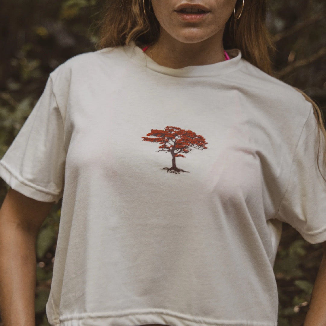 Arbol de Fuego Crop